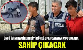 Cumhuriyet On Twitter Unlu Isim Hamile Kediyi Kopege Parcalatan Cocuklara Sahip Cikacak Https T Co 16cha1imuo