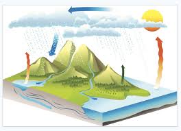 The Water Cycle Science Games Legends Of Learning This water cycle demonstration clearly shows all four steps of the water cycle including evaporation, condensation, precipitation, and collection. the water cycle science games legends