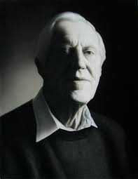 Fermoy GAA club salute Dave Roche, the Rookie who became an All-Star goalie