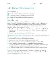 How can we use genetics to study human inheritance?chapter summary karyotypes 14.1 human transmission of human traits chromosomes human pedigrees from molecule to phenotype 14.2 human genetic disorders chromosomal disorders 14.3 studying the manipulating dna human genome the human genome project 1. 14 1 Human Chromosomes