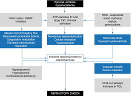 Image result for Vasopressor