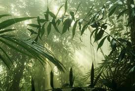 We did not find results for: Garden Of Eden Found Weekly World News