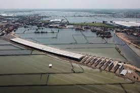 Bintang 08 morowali yang konon katanya mendatangkan ribuan tenaga kerja asing itu sebenarnya milik bapak prabowo atau bukan ?? Proyek Tol Semarang Demak Masih Mengambang Di Tengah Tambak Warga Ramai Ramai Mengadu Ke Dprd Jawa Tengah Gridoto Com