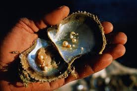 They come in all sorts of shapes, sizes, and colours. How Pearls Form And Which Species Makes Them