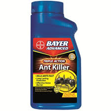 Carpenter ant & termite killer plus kills on. Product Bfg Supply