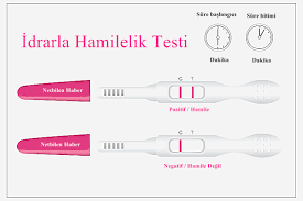 Evde Hamilelik Gebelik Testi Nasil Yapilir Resimli Anlatim Hamilelik Evler
