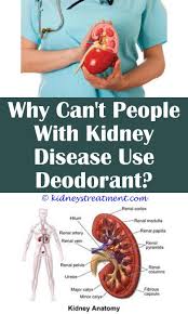 Pin On Kidney Disease Stages
