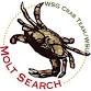 Molt Search Training: Birch Bay