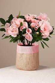 Check spelling or type a new query. The Best Places To Order Flowers Online