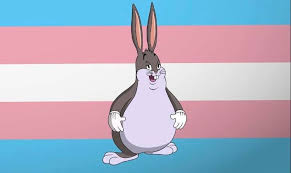 ———————————— 2021 big chungus has 2 words, consisting of 10 letters, we know that 2 x 10 = 20, so this is how we get 20 in '20'21 the word chungus was first found online around december 2012, 12 reversed is how we get the 21 in 20'21 ———————————— 2:31 pm big chungus is two words, this. Big Chungus Is Trans Gamingcirclejerk