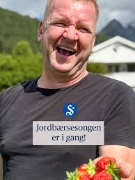 Nå er de her! Friske jordbær fra Valldal