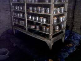 Check spelling or type a new query. Budidaya Kroto Panduan Melipatgandakan Uang Dari Telur Semut Toples