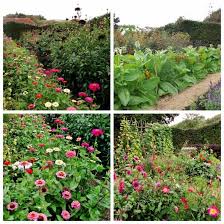 Pin On Cutting Garden