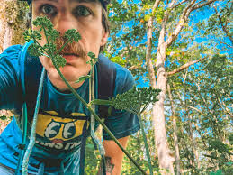 Just two dudes starin at one another