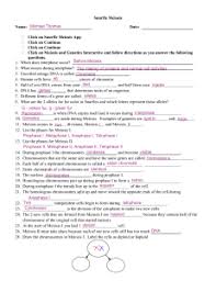 Meiosis Worksheets