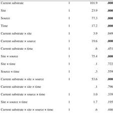 Image result for Agelanthus gracilis