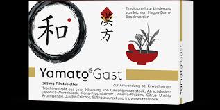 Ubelkeit Und Erbrechen Ursachen Und Hilfe Yamato Gast