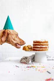 Mix together the melted coconut oil, egg, canned pumpkin, unsweetened applesauce, banana, peanut butter, water and 1/4 cup shredded carrots. Dog Birthday Cake Recipe How To Make Cake For Your Dog