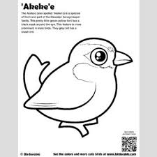 They're great for all ages. Akeke E Coloring Page Fun Free Downloads Activity Pages Birdorable
