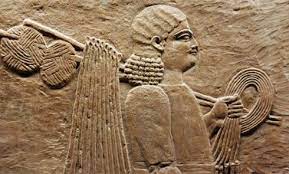 We did not find results for: The History Of Knitting Pt 1 Mysterious Origins Sheep And Stitch