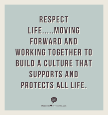 Respect Life Moving Forward And Working Together To Build A Culture That Supports And Protects All Life Respect Life Positive Messages Supportive