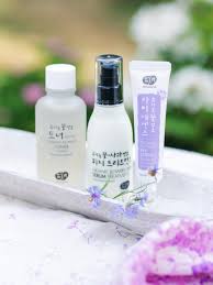 Thank you for once again dropping to my. Whamisa Organic Korean Skincare Routine That You Should Try