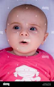 Cotton left hi-res stock photography and images