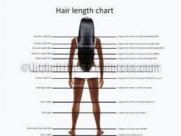 Use our wig length chart to find out which hair length complements you the most. Hair Length Chart Hair Length Chart Hair Lengths Hip Length Hair