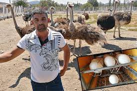 hobi olarak kurulan ciftlik turkiye nin en buyugu oldu videolu haber kalem gazetesi