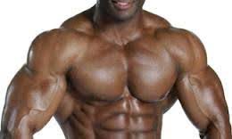 تمارين عضلة الصدر البنش كمال اجسام صور متحركة chest chest muscles sports website chest