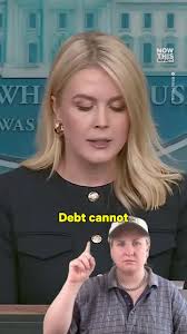 Reagan Newton Gofundme