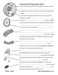 The cell membrane is also called the ＿. Cell Organelles Matching Worksheet Answer Key Memory Match