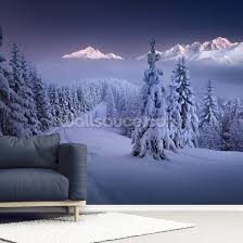 In The Winter Wallpaper Wallsauce Au