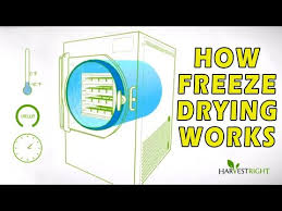 The average cost of a freeze dryer is over $2000 dollars. Best Home Freeze Dryer On The Market Today With Video Reviews