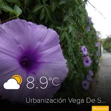 Viata te pune la incercari, dar dumnezeu te ajuta sa treci peste tot! Comunidad Morecast