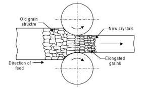 Integumentary System Part 1 - Antranik.Org