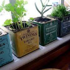 Astucieuse Idee Deco Cuisine Recyclage Boites A The Pour Herbes Aromatiques Http Amzn To 2t2md66 Idee Deco Cuisine Cuisine Boheme Tendance Deco