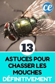 13 Astuces Naturelles Pour Chasser Les Mouches Definitivement Chasser Les Mouches Astuces Pour Chasser Les Mouches Astuces Contre Les Mouches