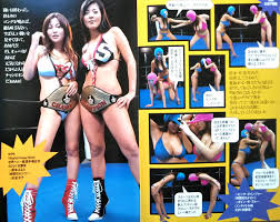 根本はるみ＆松金洋子×10ページ☆観音開き袋とじ切り抜き☆送料71円～】ボイン・ファイトクラブプレイボーイ2003年No.46－Funbid香港本地日本代購網站