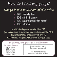 Surgical Steel Nose Ring In Various Sizes And Colors Malaysia | Ubuy