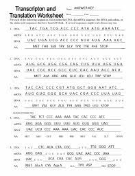 Dna replication transcription translation and mutation. Transcription Translation Worksheets Answer Key Transcription And Translation Dna Transcription And Translation Dna Transcription