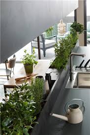 Un Jardin Interieur En Plein Cœur D Une Cuisine Ouverte Et Design Pour Y Faire Pousser Herbes Aromatiques Petits Cuisines Design Plan Cuisine Cuisine Moderne