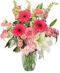Safe, affordable and professional therapy near you. Annapolis Florist Annapolis Md Flower Shop Academy Flowers