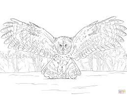 Great Grey Owl Flying Owl Coloring Pages Great Grey Owl Coloring Pages