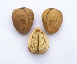 Its name derives from nuts that are only about 1/2 to 3/4 inch wide, but because it commonly grows around stream beds and ravines in southwestern regions, you may also hear it called texas walnut, texas black walnut, or mexican walnut. Walnut Trees For Sale Buy Fruit Trees Online