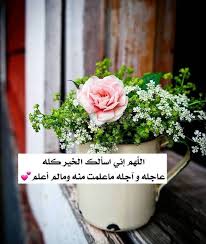صور ادعيه دينيه مصوره جميله in 2021 beautiful flowers flowers beautiful