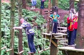 Tarzan Tree Top Adventure Course At The Jungle Ni Treetoppingfun Outdooradventure Thejungleni Top Adventures Outdoor Adventure Tree Tops