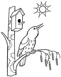 We've searched high and low for free bird coloring pages. Online Coloring Pages Bird Coloring About The Bird Of The Birdhouse Birds