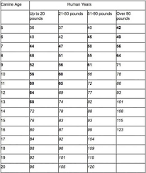 Miniature Pinscher Weight Chart Goldenacresdogs Com