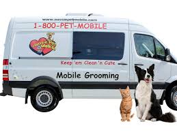 🐾 professional pet stylists 🐾 stress free service 🐾 grooming inside equipped van 📞 (416)828 4168 💻 mobilepetspa.ca g.co/kgs/yvxcg1. Aussie Pet Mobile Central Albuquerque Incl Santa Fe Mobile Grooming For Cats Dogs